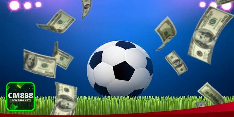 Thể thao SBO - Độ nhận diện cao và khả năng vận hành ổn định