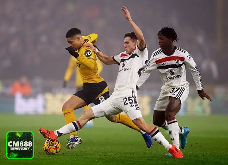 Nhà Cái Uy Tín CM888 - Nhà Cái Uy Tín CM888 được kiểm chứng qua yếu tố nào? Nhà Cái Uy Tín CM888 - Nhà Cái Uy Tín CM888 được kiểm chứng qua yếu tố nào?